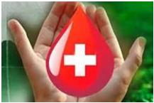 Прием доноров в январе 2015 года 